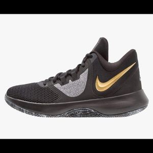 Mens Nike air precision 2